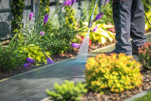 Best Deck and Patio Pressure Washing in Mason City, IL